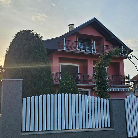 Guest House Lona Golubăţ Exterior foto