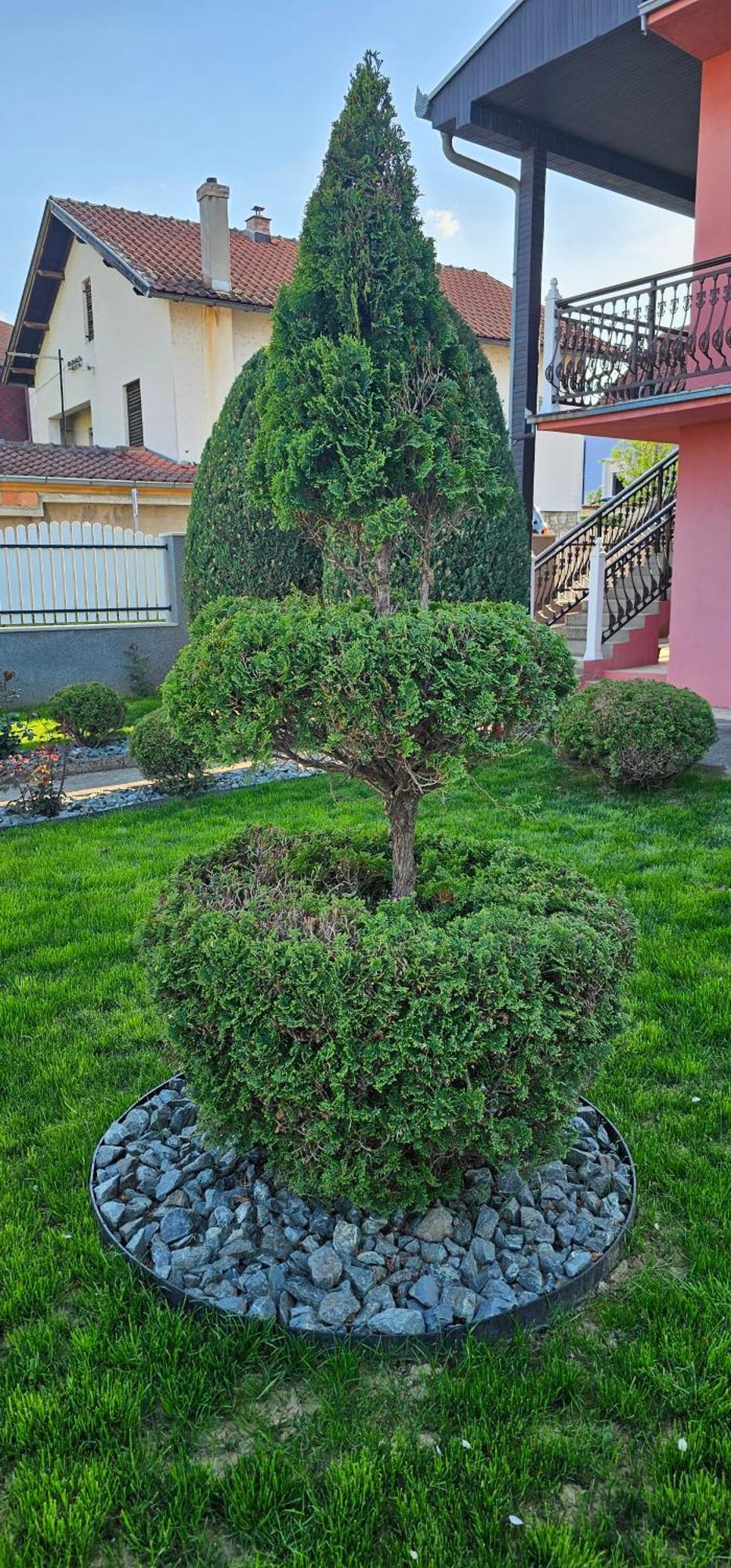Guest House Lona Golubăţ Exterior foto