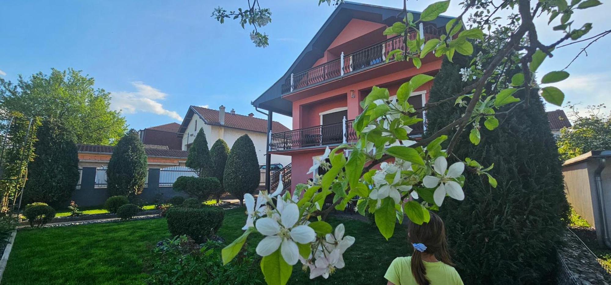 Guest House Lona Golubăţ Exterior foto